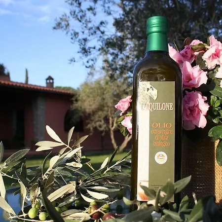 L'aquilone Magliano in Toscana