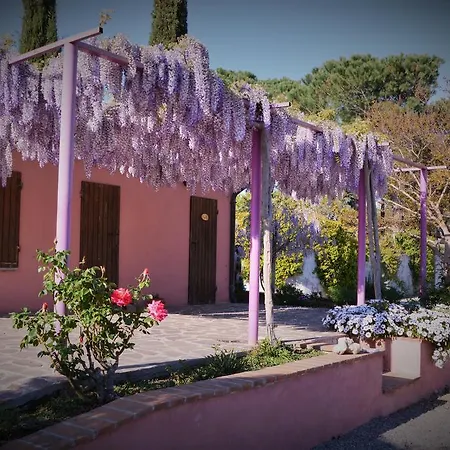 L'aquilone * Magliano in Toscana