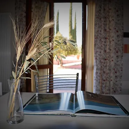 L'aquilone Magliano in Toscana