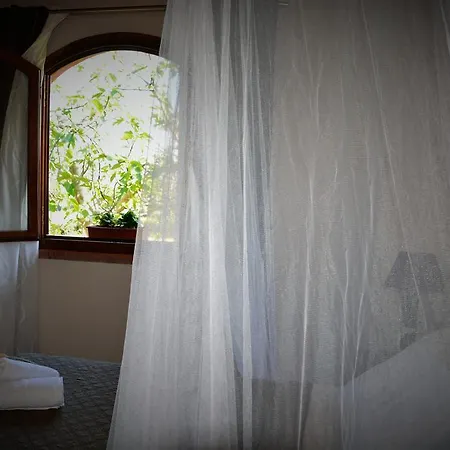 L'aquilone * Magliano in Toscana