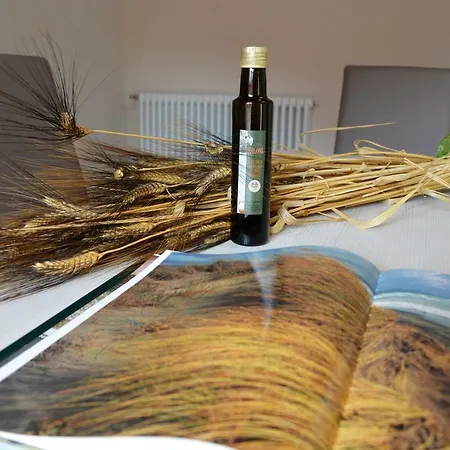 Feriegård L'aquilone Magliano in Toscana